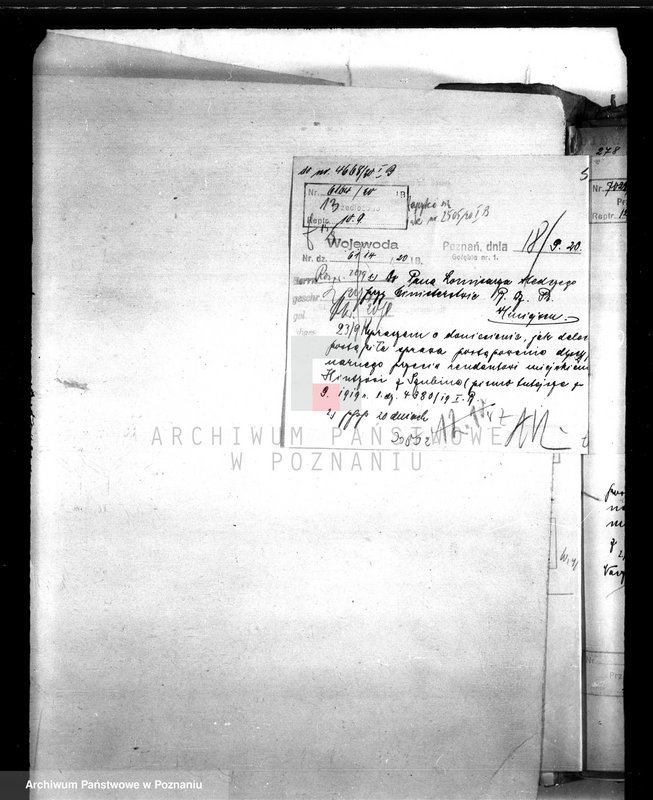 Obraz 17 z jednostki "Urzędnicy Komunalni miasta Szubina"