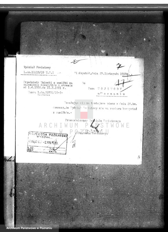 Obraz 11 z jednostki "Zalesienie nieużytków w powiecie międzychodzkim"