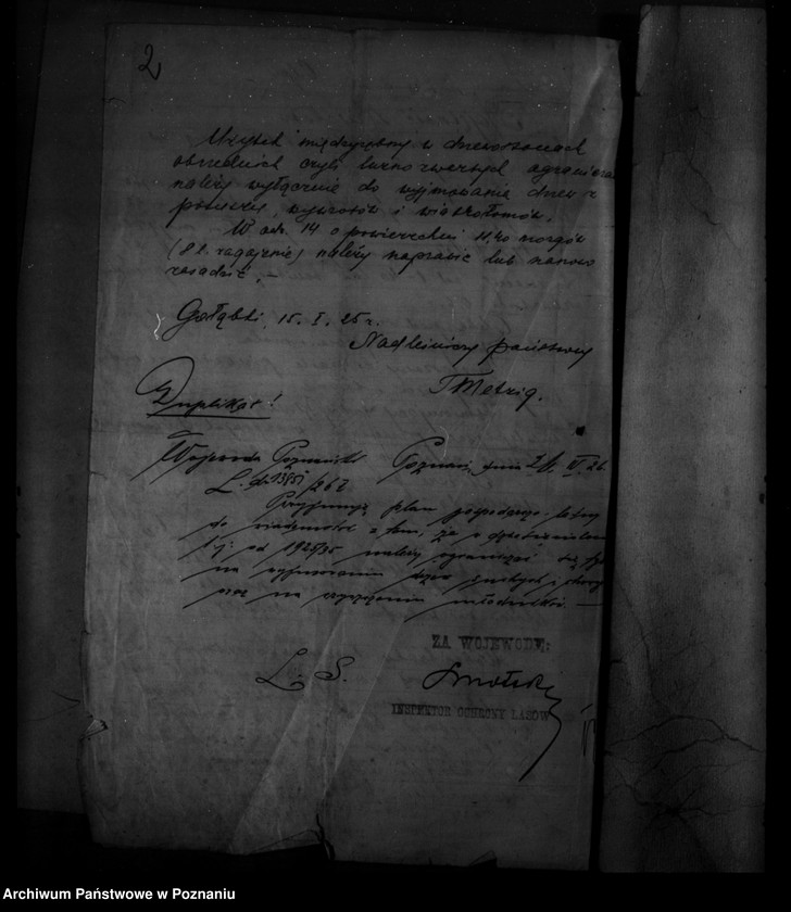 Obraz 6 z jednostki "/Majętność leśna Ruchowo powiat mogileński/"