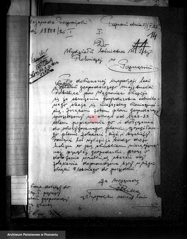 Obraz 18 z jednostki "Majętność leśna Potulice powiat wągrowiecki"