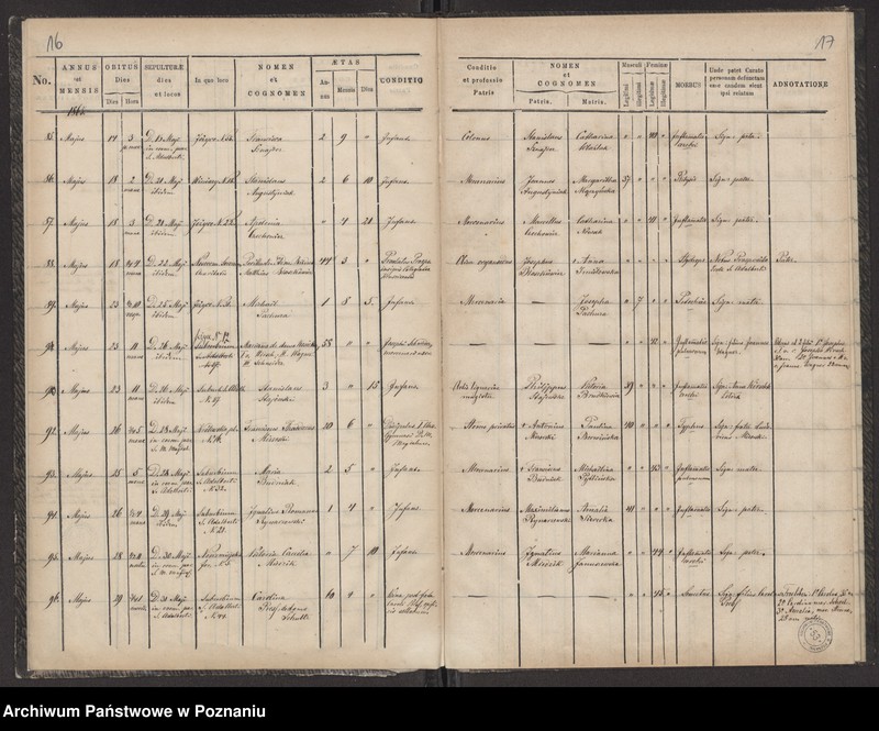 Obraz 11 z jednostki "Księga zgonów"