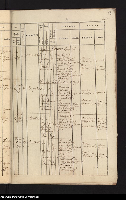 Obraz 15 z jednostki "[Kopie ksiąg metrykalnych urodzeń, małżeństw i zgonów parafii Narol za rok 1850]"