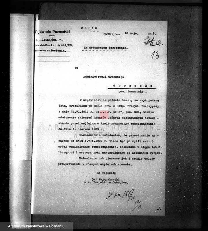 Obraz 17 z jednostki "Ordynacja Obrzycko /nadzór nad gospodarką leśną/"