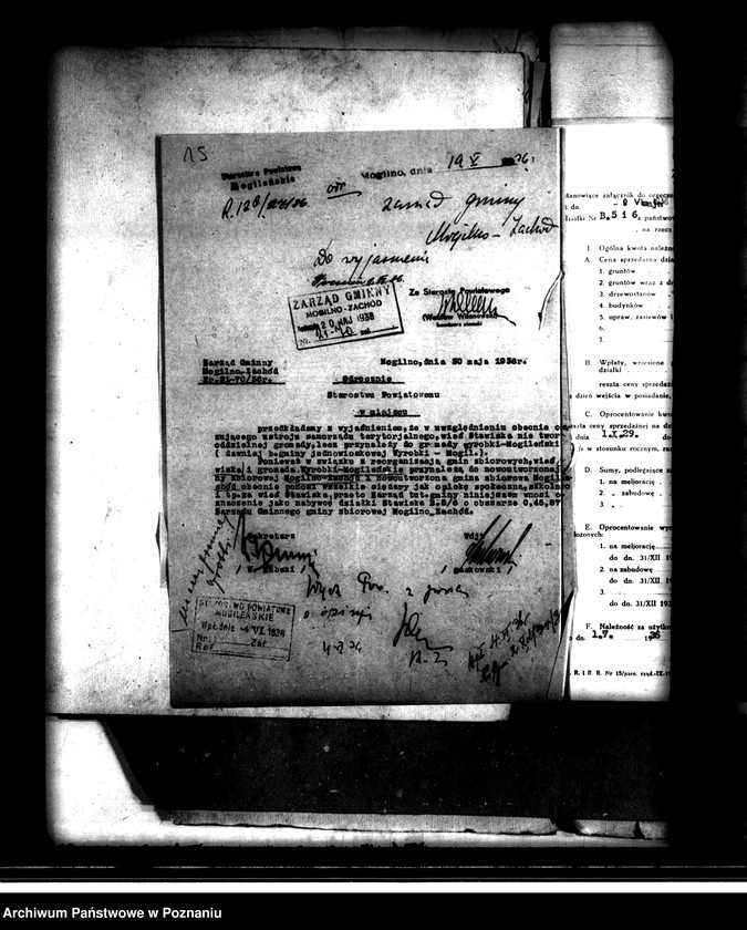 Obraz 19 z jednostki "Stawiska B 5 i 6 powiatu mogileńskiego /osada parcelacyjna/"