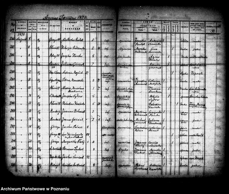 Obraz 16 z jednostki "Księga zgonów"