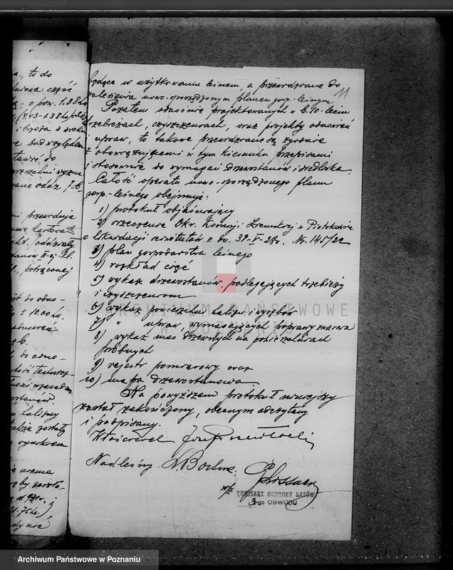 Obraz 16 z jednostki "Lasy majątku Brudzew w powiecie kaliskim"