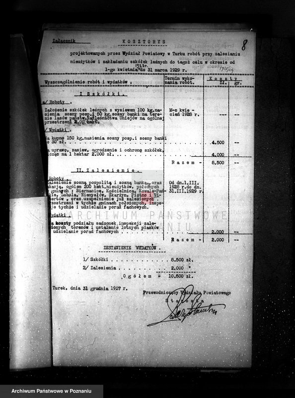 Obraz 12 z jednostki "Zalesienie nieużytków powiatu tureckiego"