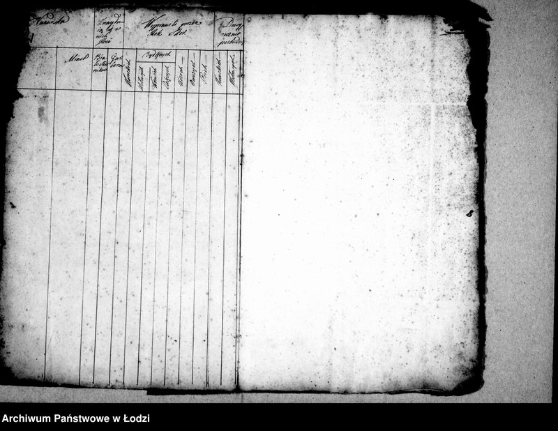 Obraz 6 z jednostki "Akta tyczące się garbarzy"