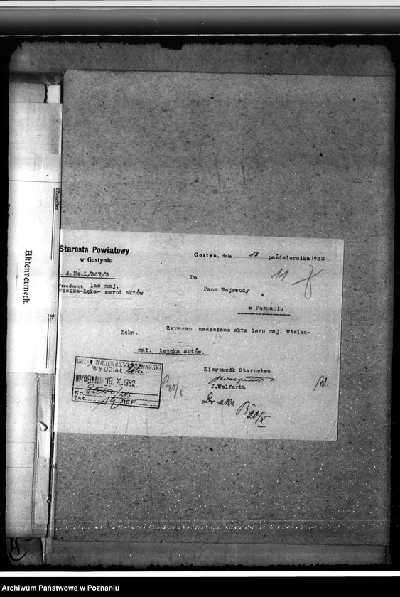 Obraz 15 z jednostki "Majętność leśna Łąka Wielka"