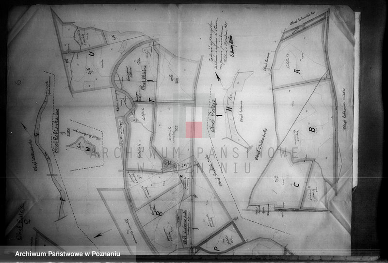 Obraz 10 z jednostki "Rejestr pomiarowy zasiewów i upraw majątku Łobżenice"