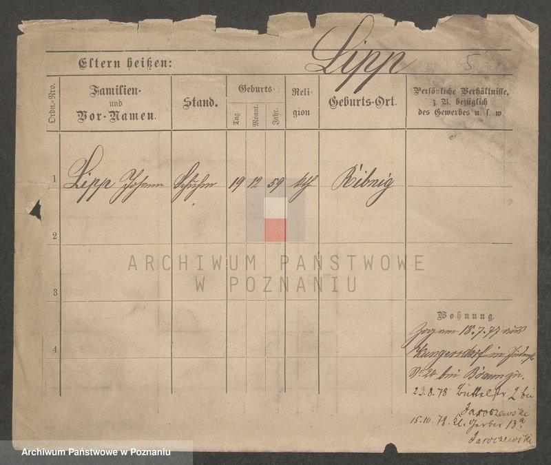 Obraz 5 z jednostki "Lip - Lipinski"