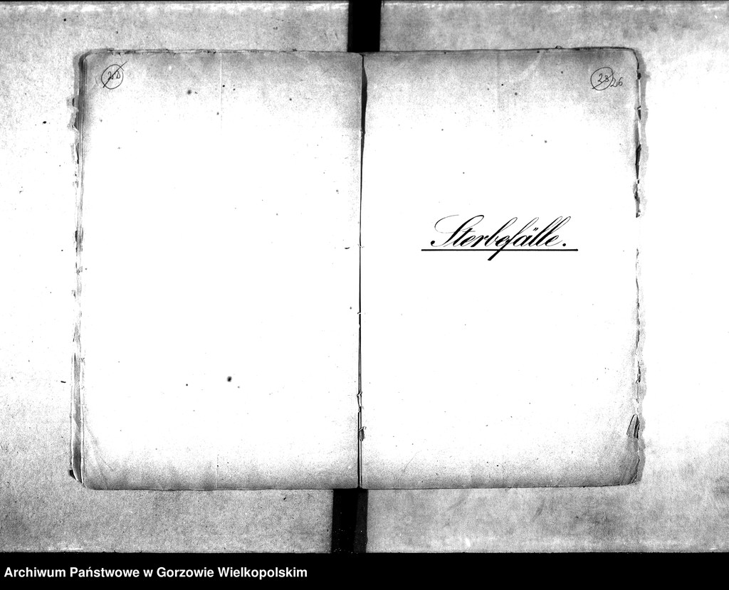 image.from.unit.number "Duplikate der Kirchenbücher von: Wormsfelde (Wojcieszyce) mit Unterförsterei, Theerofen und Mühlen, Stolzenberg (Różanki) mit Oberförsterei, Ziegelei, Kolonie und Theerofen."