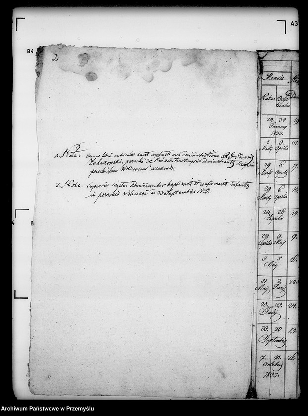 Obraz 6 z jednostki "[Kopie ksiąg metrykalnych parafii Wolica z filiami Bełchówka, Zboiska (dekanat Buków)]"