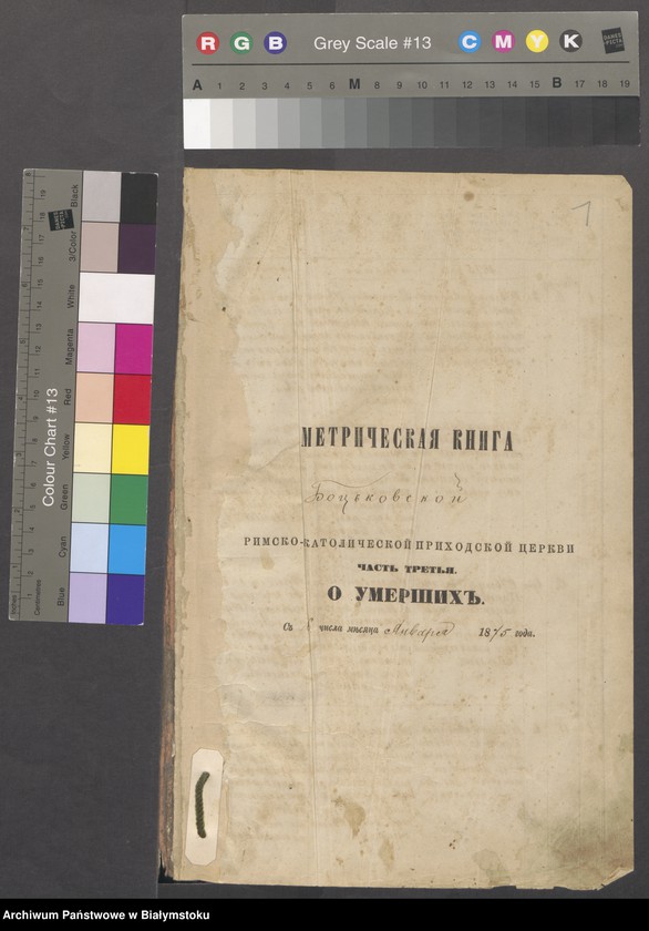 image.from.unit "Kniga o umieruszich Bockowskogo kostieła, Janvar 1875 - Avgust 1891"