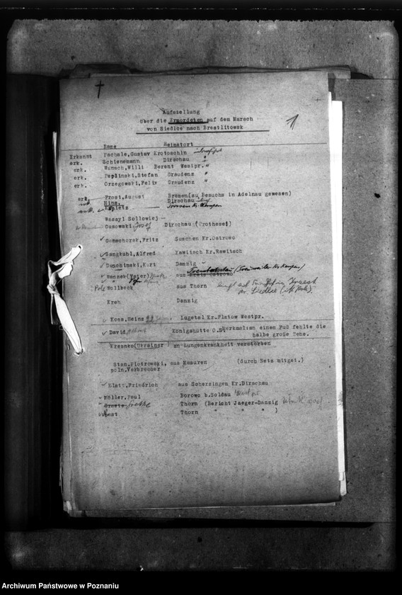 Obraz 5 z jednostki "Korespondencja w sprawie Niemców, którzy zginęli w 1939 roku w różnych powiatach"