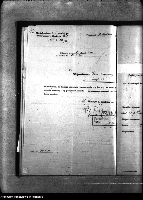 Obraz 17 z jednostki "Nosacizna - Poznań-Zachód"