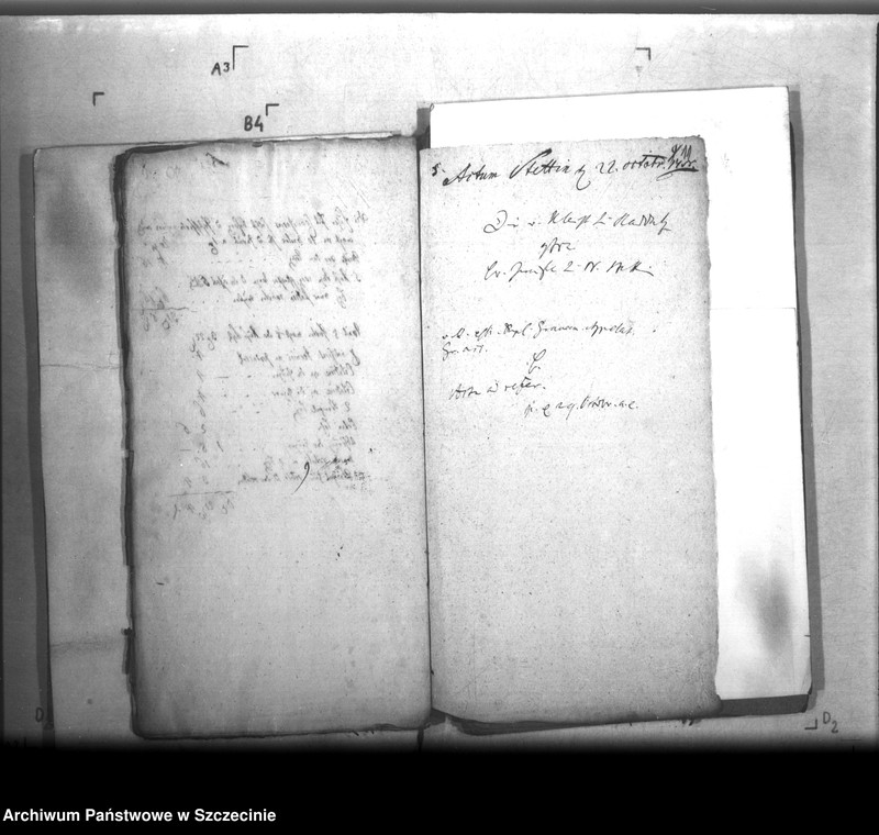 Obraz 11 z jednostki "Von Kleist zu Raddatz contra die Stadt Neustettin in po: Turbationis an der Braugerechtigkeit"