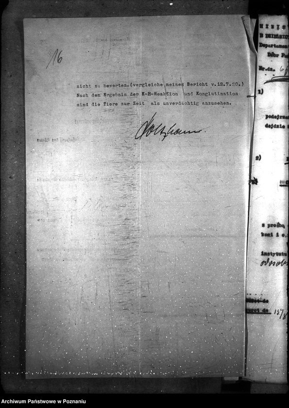 Obraz 20 z jednostki "Nosacizna - Bydgoszcz"