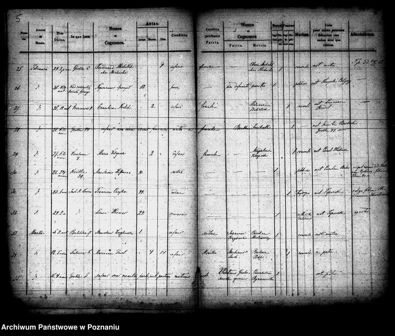 Obraz 4 z jednostki "Księga zgonów"