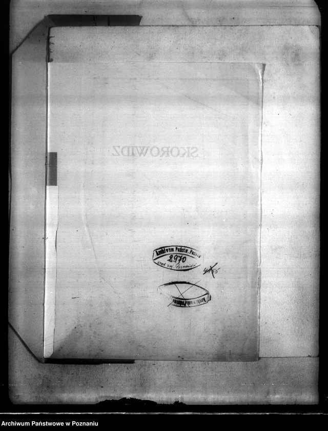 Obraz 4 z jednostki "Majątek Kosztowo powiatu wyrzyskiego /wyłączenie z art. 4 ustawy o wykonaniu reformy rolnej"