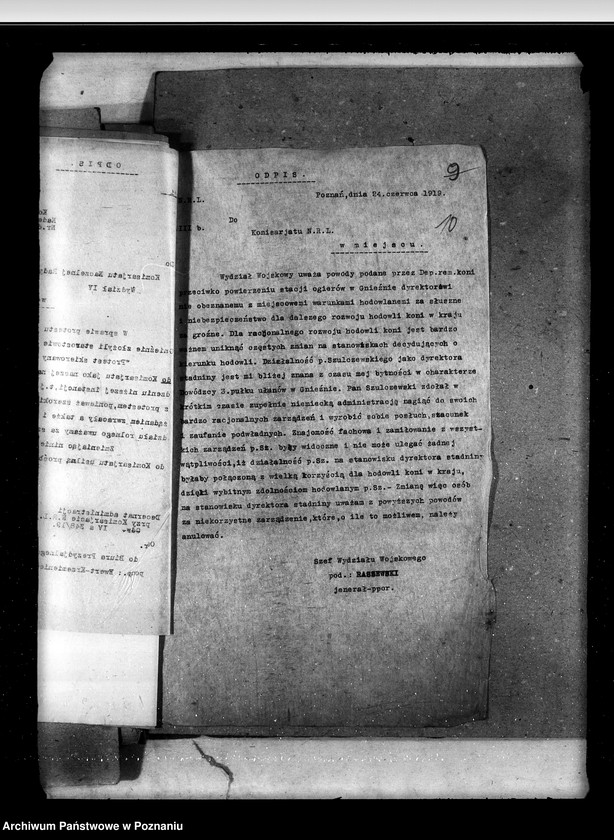 Obraz 14 z jednostki "Sprawy ogólne stadnin"