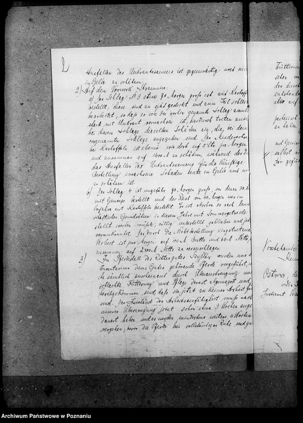 Obraz 6 z jednostki "Majątki zaniedbane"