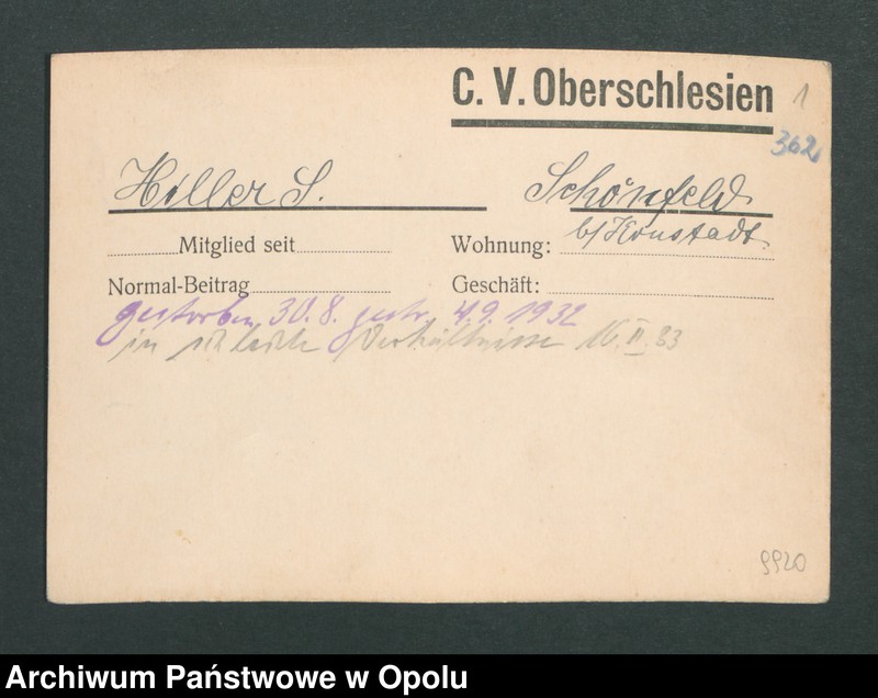 Obraz 3 z jednostki "[Hiller S., Schönfeld]"