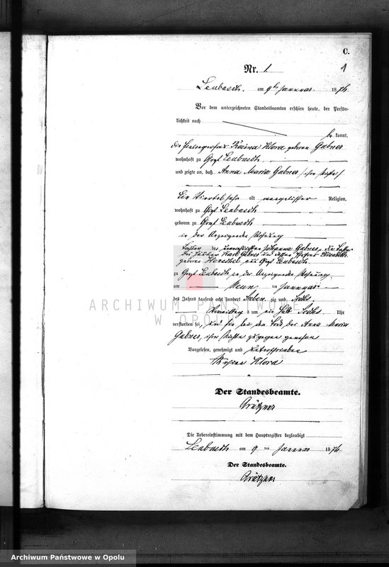 image.from.unit.number "Sterbe-Neben-Register des Königlichen Standes Amt Leubusch Jahrgang 1876"