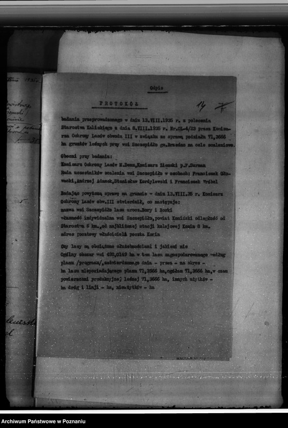 Obraz 19 z jednostki "Gmina Brzeźno powiat koniński /nadzór nad gospodarką leśną/"
