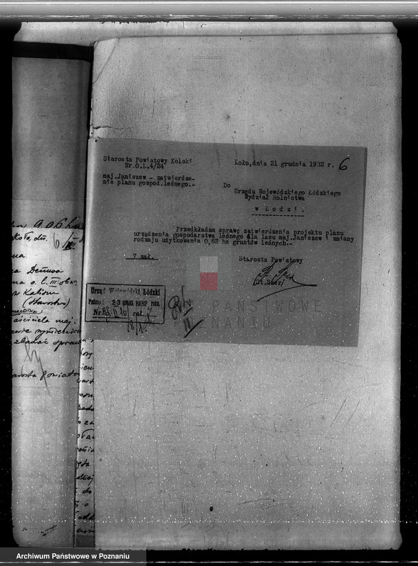 Obraz 10 z jednostki "Zatwierdzenie projektu planu gospodarstwa leśnego dla lasów majątku Janiszew powiat kolski"