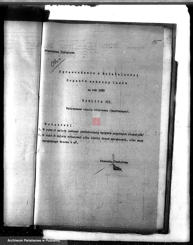 Obraz 19 z jednostki "Sprawozdanie z działalności organów ochrony lasów za 1930"