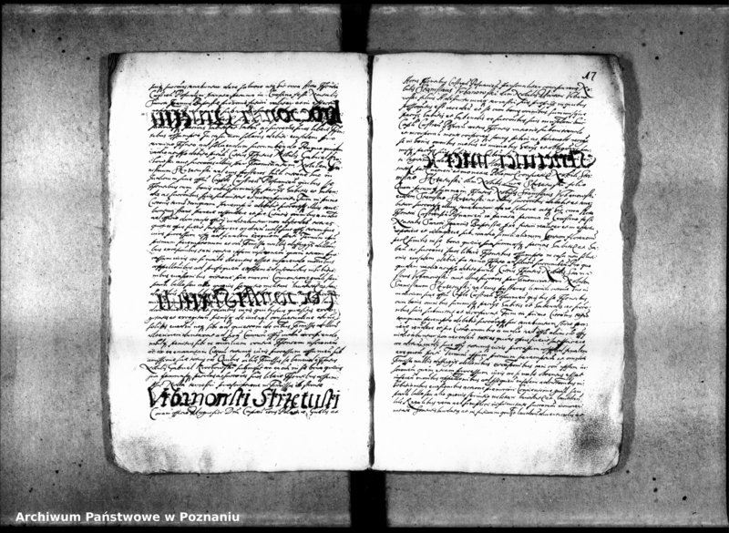 Obraz 20 z jednostki "Inscriptiones [inducta]"