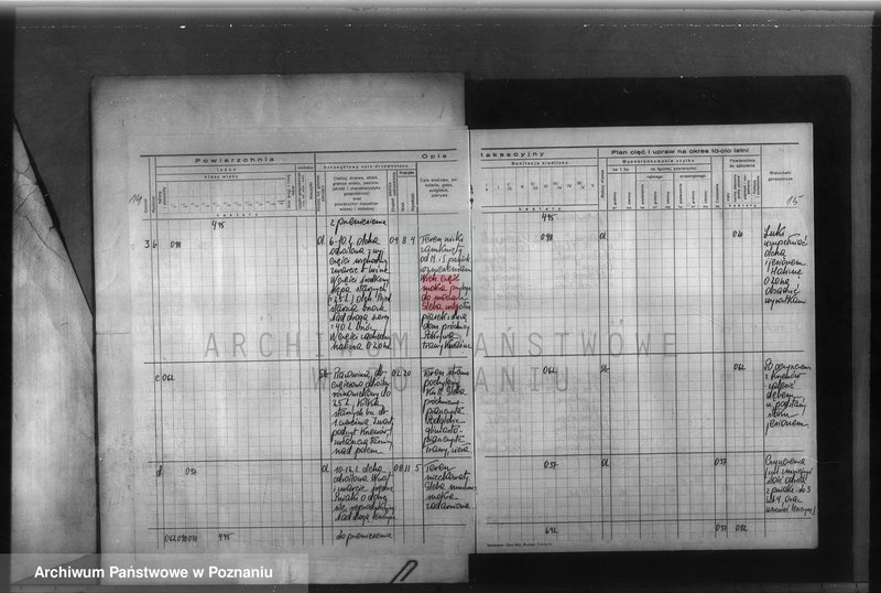 Obraz 16 z jednostki "Program urządzenia gospodarstwa leśnego dla lasu majętności Glinno powiat poznański 1938-1948"