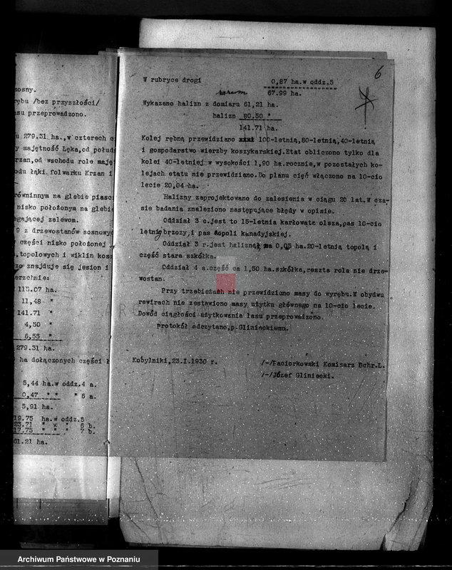 Obraz 10 z jednostki "Nadzór nad gospodarką w lasach majętności Kobylniki powiat kościański"