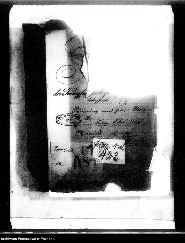 Obraz 4 z jednostki "Raeumung eines Teiles des Flilinda Fliesses in Kreise Obornicki"