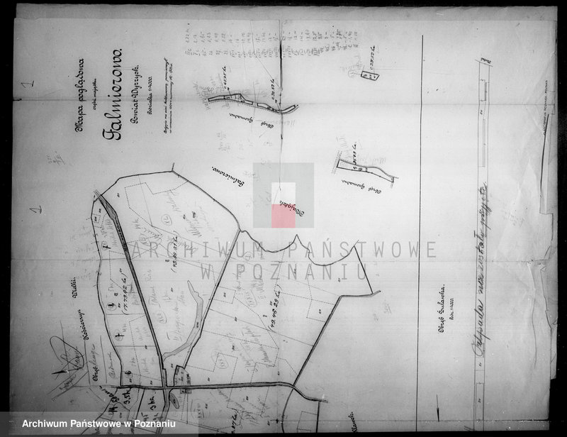 Obraz 5 z jednostki "Rejestr pomiarowy zasiewów części majątku Falmierowo powiatu wyrzyskiego"