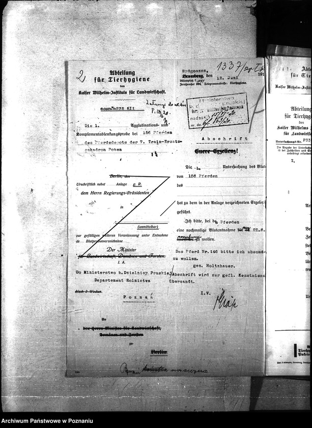 Obraz 6 z jednostki "Nosacizna - Poznań Miasto"