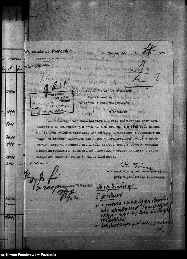 Obraz 11 z jednostki "Budżet weterynaria na rok 1921"