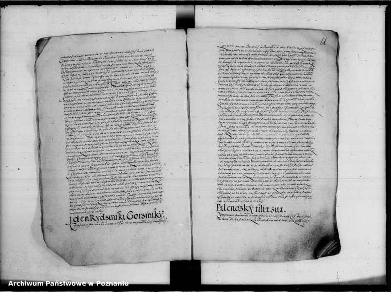 Obraz 16 z jednostki "Inscriptiones, relationes [inducta]"