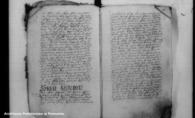 Obraz 10 z jednostki "Inscriptiones [inducta]"