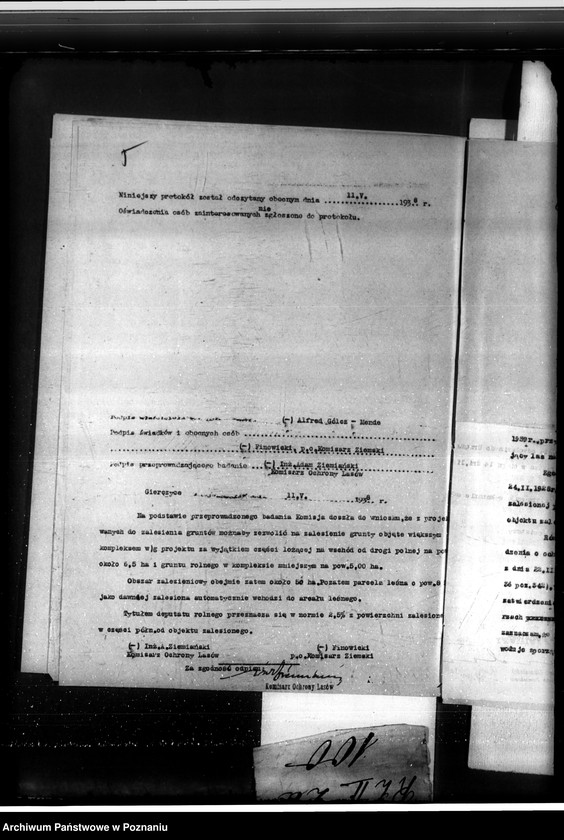 Obraz 9 z jednostki "Las majętności Gierczyce powiatu kępińskiego"