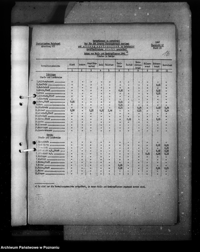 Obraz 20 z jednostki "Thüringen - Hessen"