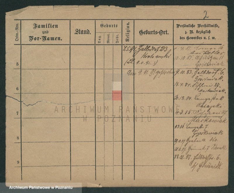 Obraz 6 z jednostki "Stawczyński - Stebner"