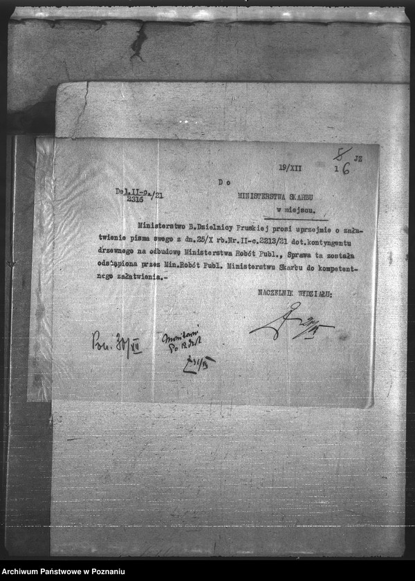 Obraz 9 z jednostki "Leśnictwo"