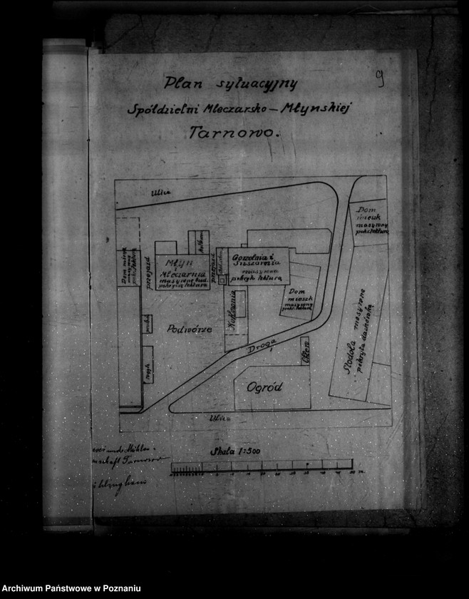 Obraz 14 z jednostki "Spółdzielnia mleczarsko-młyńska w Tarnowie powiat poznański  nr woj. 350"