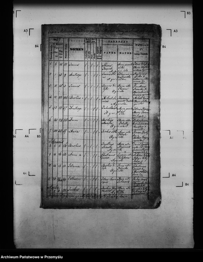 image.from.unit.number "[Kopie ksiąg metrykalnych parafii Miękisz Nowy z filiami Miękisz Stary i Tuchla (dekanat Jarosław)]"