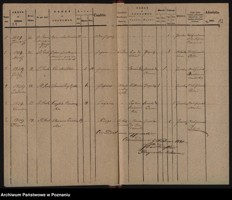 Obraz 10 z jednostki "Duplicat baptisatorum, copulatorum, mortuorum"