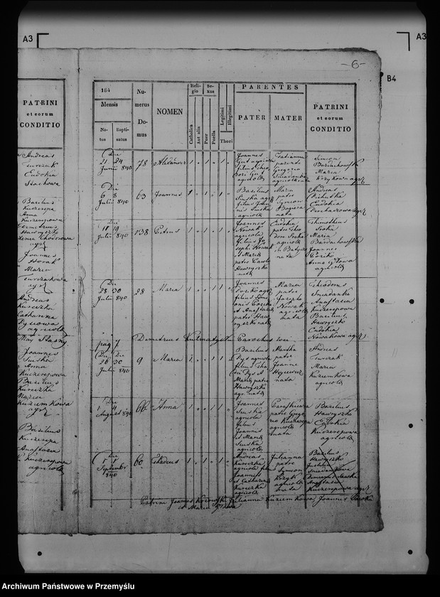 Obraz 11 z jednostki "[Kopie ksiąg metrykalnych parafii Maćkowice z filią Kosienice (dekanat Przemyśl)]"