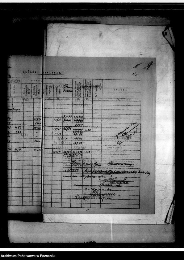 Obraz 19 z jednostki "Operat szacunkowy Dziembowo-Byszki powiat chodzieski"