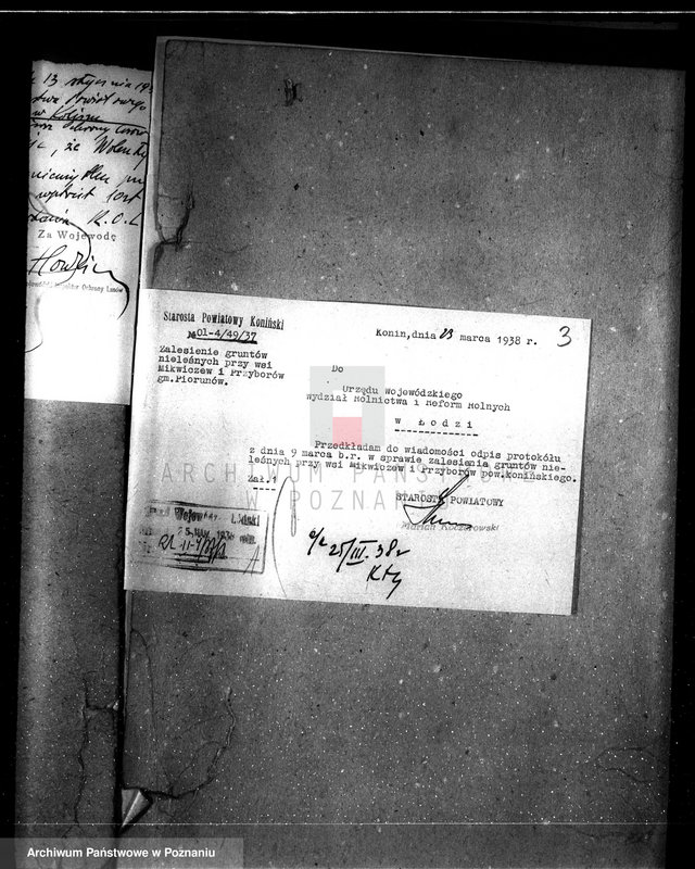 Obraz 7 z jednostki "Gmina Piorunów powiat turecki /nadzór nad gospodarką leśną/"